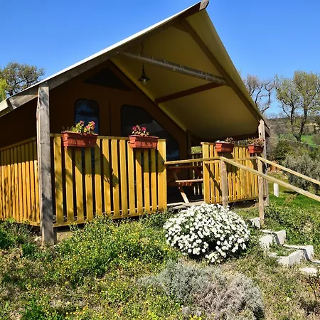 Glamping Tent In Italy Near Adriatic Beaches 豪华帐篷 拉佩多纳