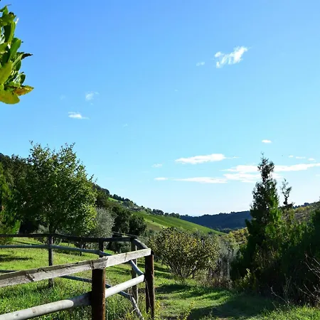 Glamping Tent In Italy Near Adriatic Beaches 拉佩多纳