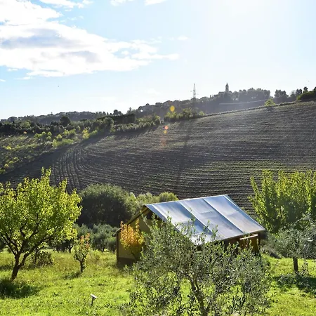 Glamping Tent In Italy Near Adriatic Beaches 拉佩多纳