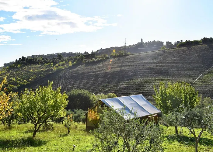 Glamping Tent In Italy Near Adriatic Beaches Lapedona